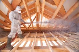 Best Eco-Friendly or Green Insulation Solutions  in Sandia Knolls, NM