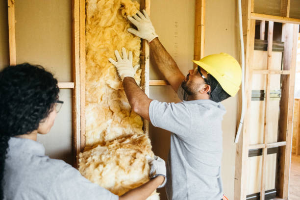 Best Spray Foam Insulation  in Sandia Knolls, NM